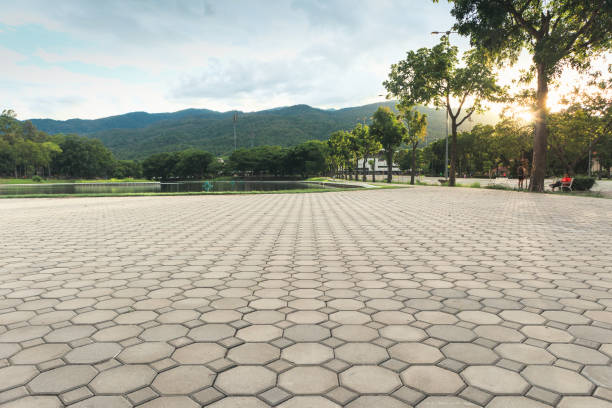 Best Professional Driveway Pavers  in East Chicago, IN